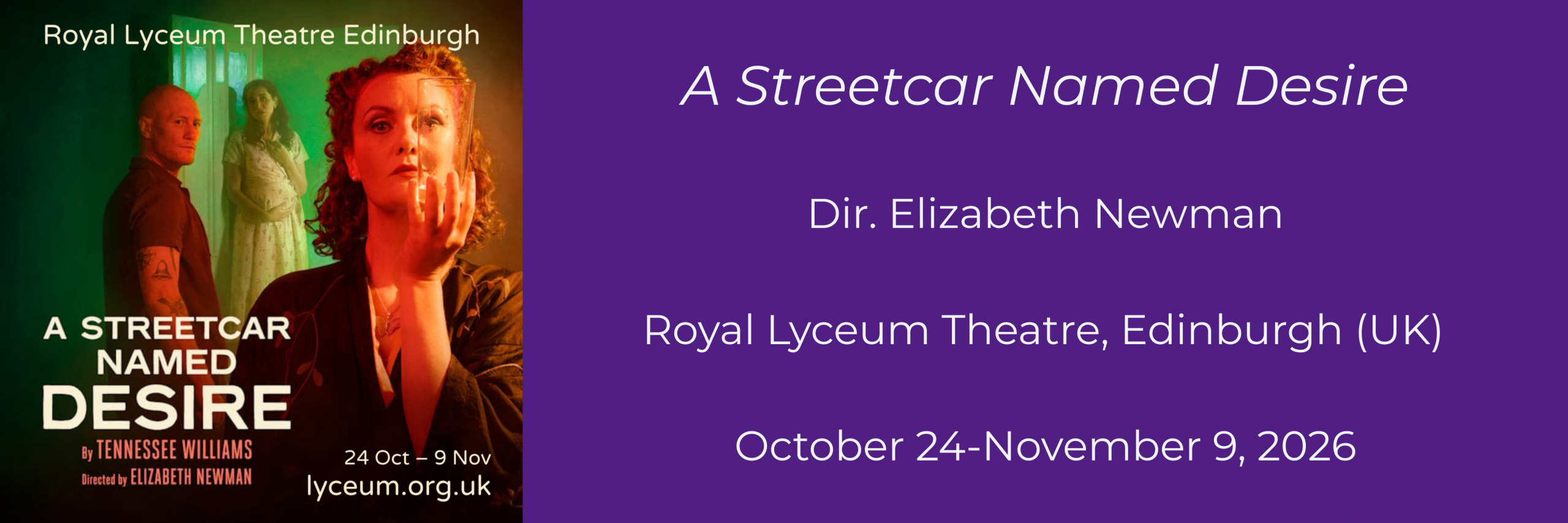 Copia de Copia de Copia de Cartel Horizontal Nubes Colorido Celeste (1200 x 400 mm)